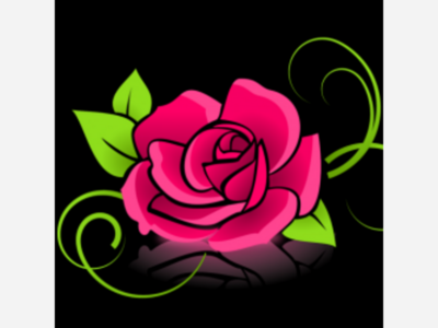 Norwich: Extreme makeover